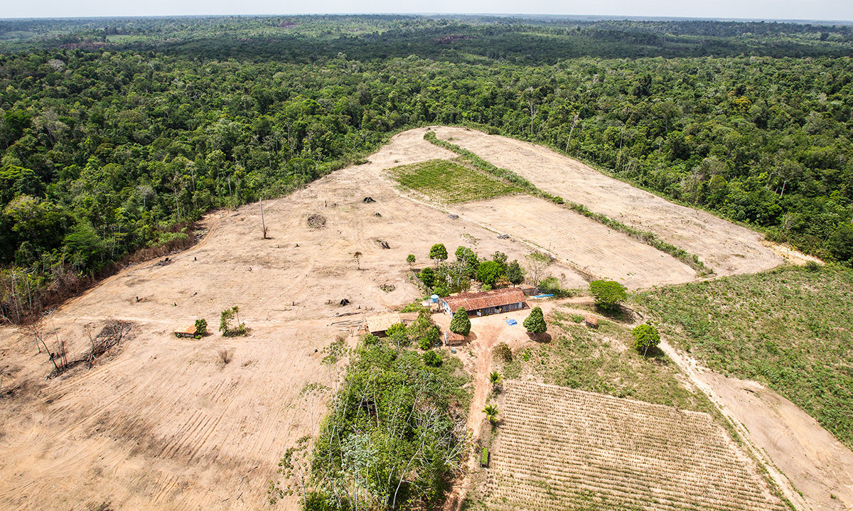 Deforestation of the Amazon rainforest. Patch of forest land cleared of vegetation for agricultural purposes. Environment, ecology, climate concepts.